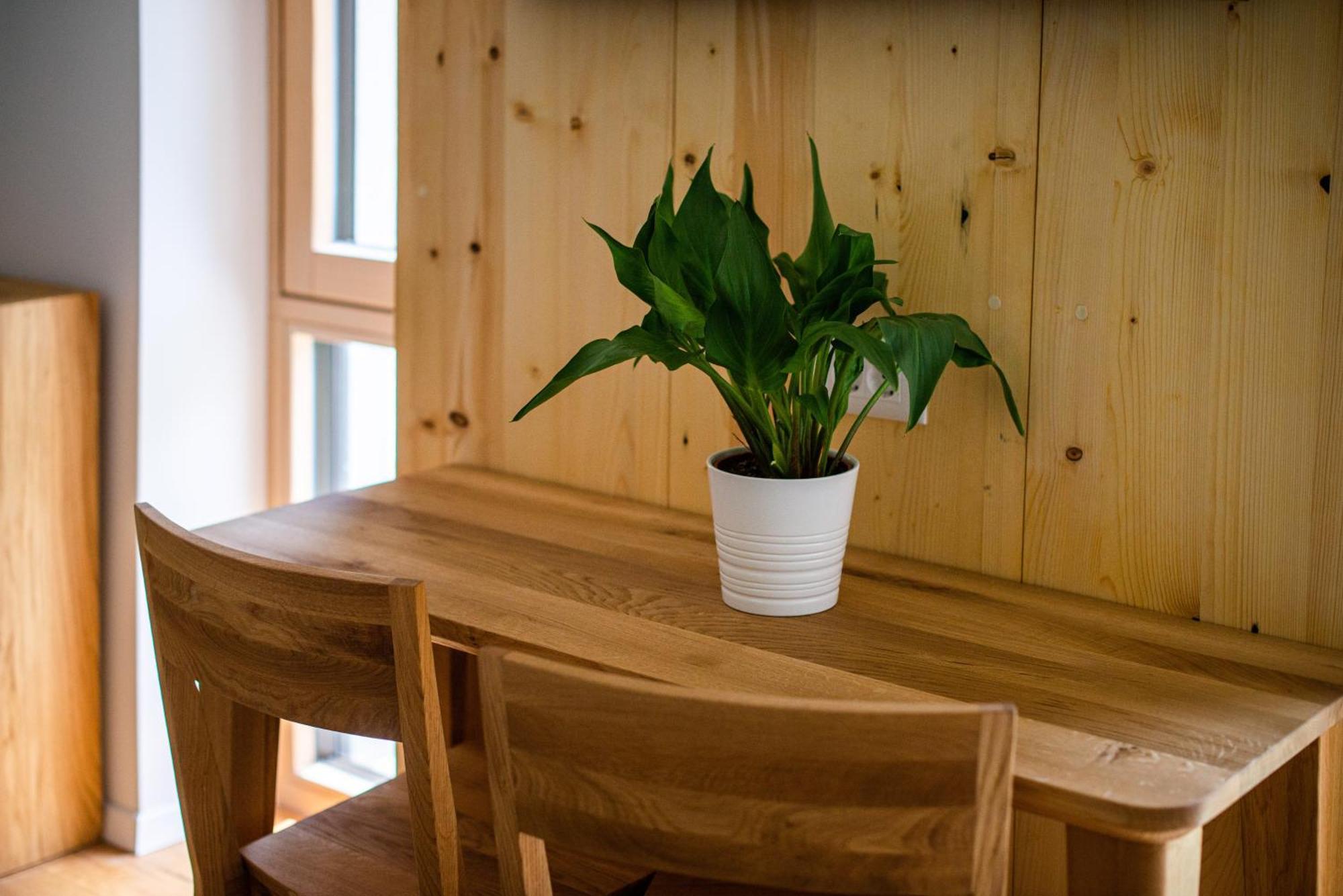 Apartamento Lucka Bled Quiet Location, Free Bikes, Big Garden, Doctor Exterior foto